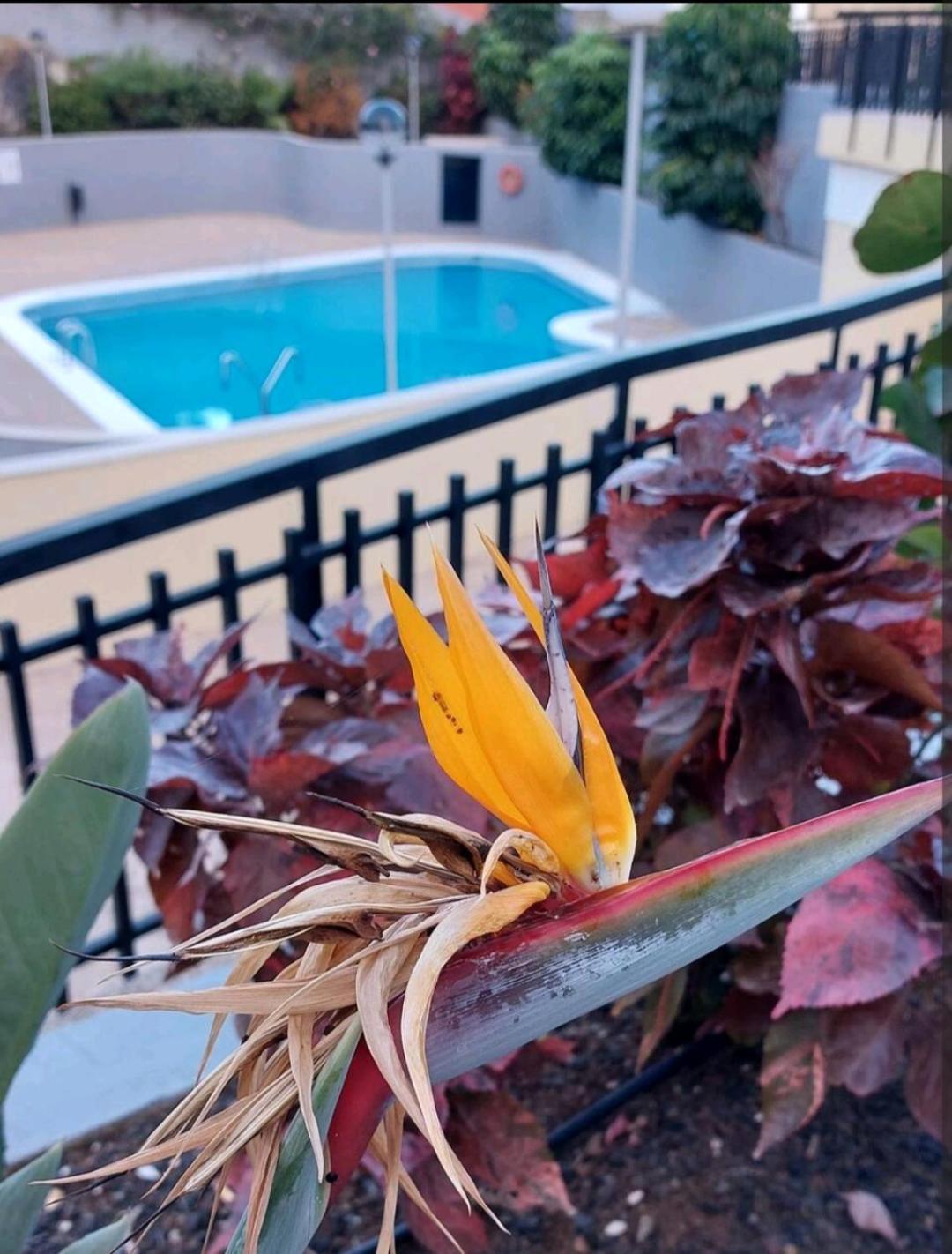 Balcon Atlantida Apartment Candelaria Exterior photo